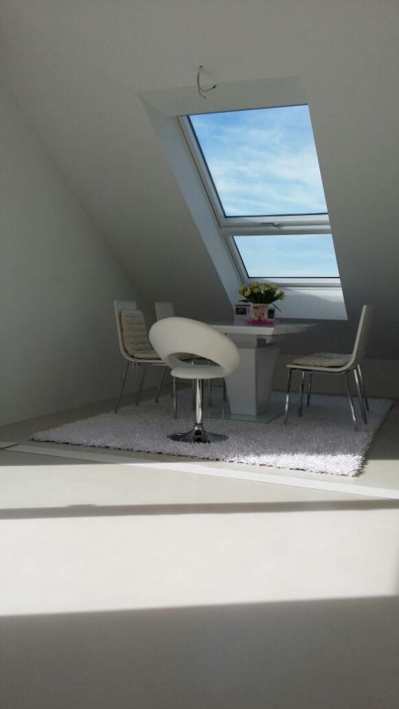 BASIL ® Bodenbeton hellgrau BASIL ® Bodenbeton hellgrau