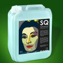 SQ penetrating primer, solvent-free 10 l