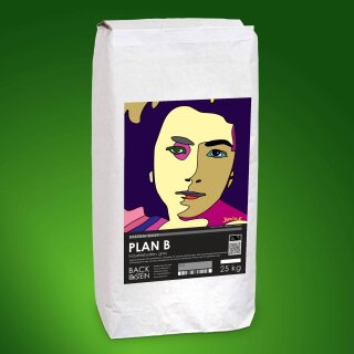 PLAN B Industrieboden grau 300 kg (12 Sack)