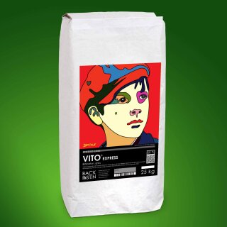 VITO ® Express Blitzbeton, grau 300 kg (12 Sack)