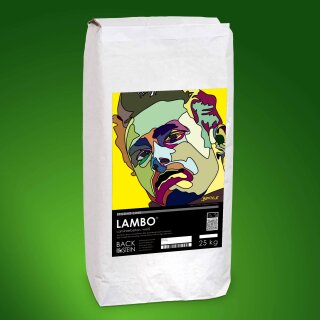 LAMBO ® Laminierbeton, weiß 900 kg (ganze Palette)