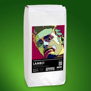 LAMBO ® Laminierbeton, grau 300 kg (12 Sack)