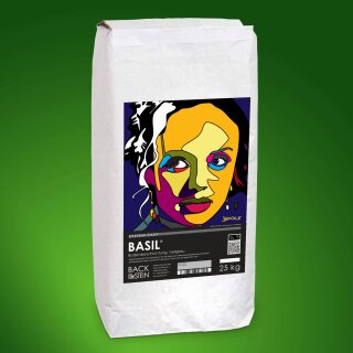 BASIL ® floor resurfacer, light grey 300 kg (12 bags)