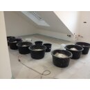 BASIL ® Bodenbeton hellgrau 900 kg (ganze Palette)