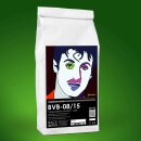 BVB 08/15 Vergussbeton einfach, naturweiß, 5 kg