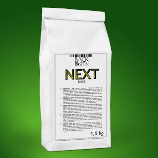 NEXT BASE CSA-Zement grau 4,5 kg