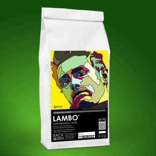 LAMBO ® Laminierbeton, weiß 5 kg