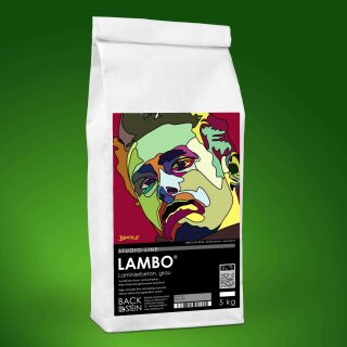 LAMBO ® Laminierbeton, grau 5 kg