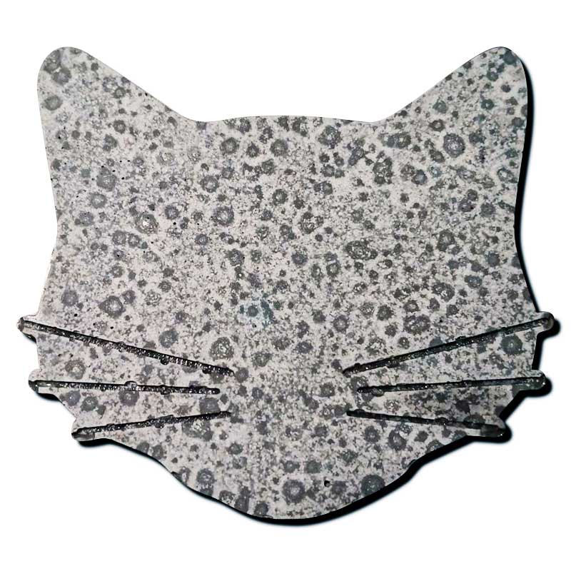 Fleckige Katze